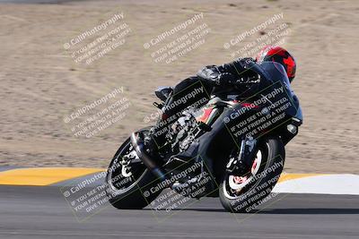 media/Nov-05-2022-SoCal Trackdays (Sat) [[f8d9b725ab]]/Turns 9 and 8 (1050am/